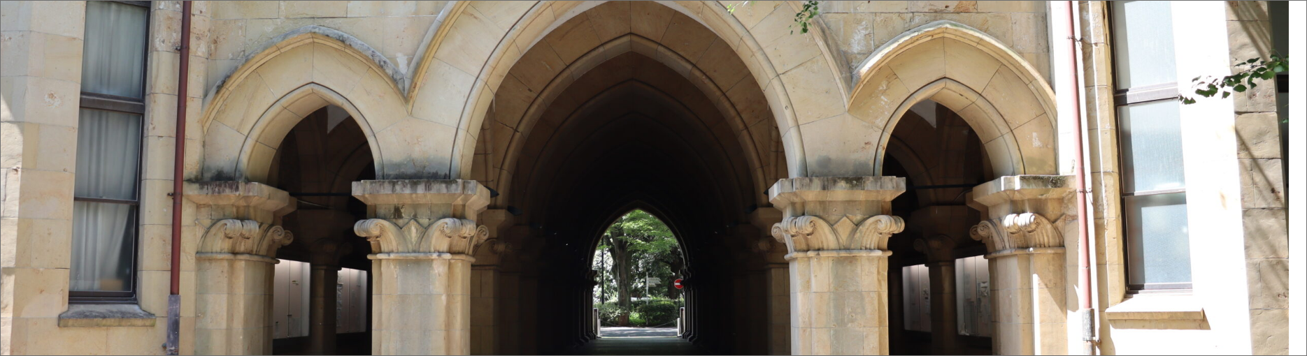 東京大学大学院人文社会系研究科社会文化研究専攻の特徴・院試について