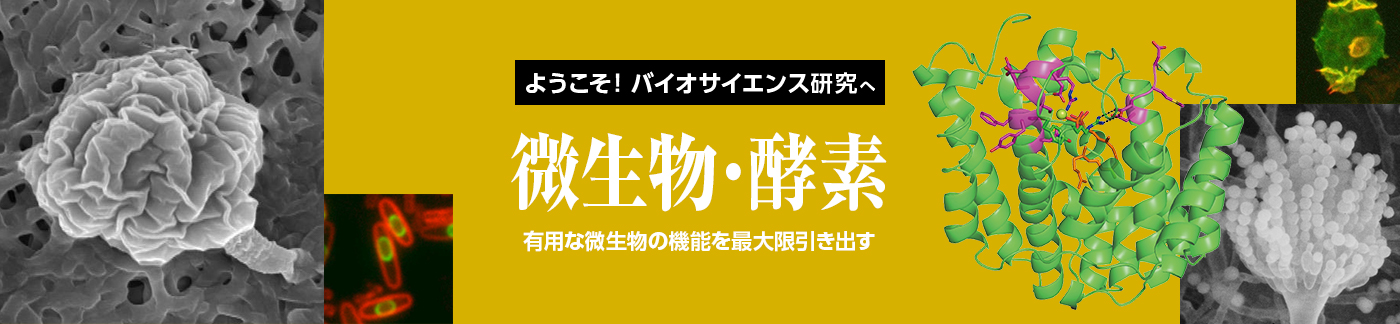 東京大学大学院農学生命科学研究科応用生命工学専攻の特徴・院試