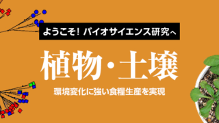 東京大学大学院農学生命科学研究科応用生命化学専攻の特徴・院試