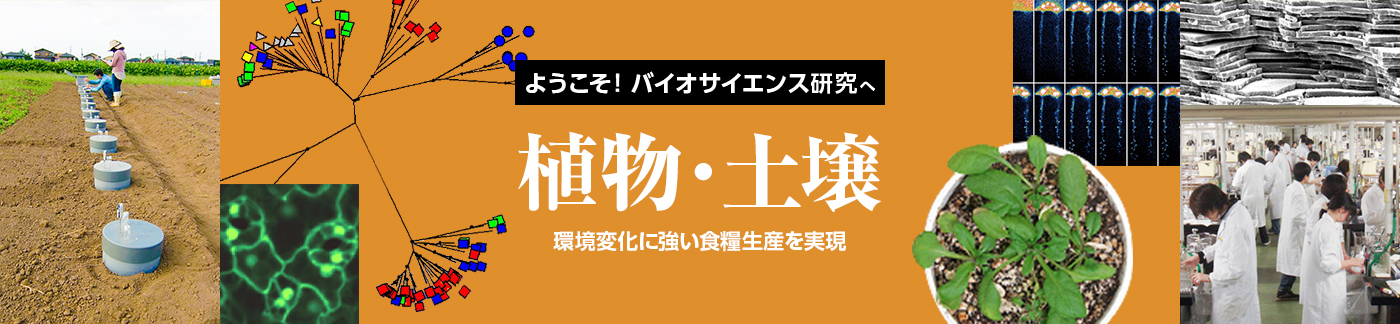 東京大学大学院農学生命科学研究科応用生命化学専攻の特徴・院試