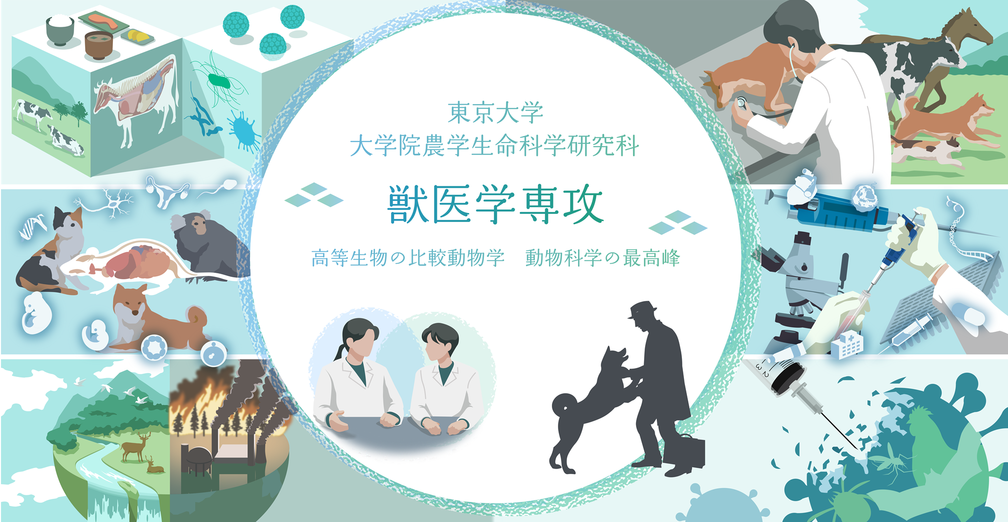 東京大学大学院農学生命科学研究科獣医学専攻の特徴・院試について徹底